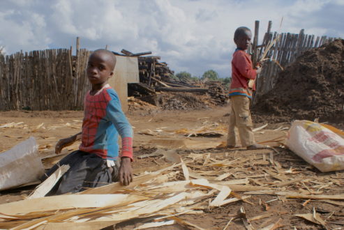 Young boys labor outside a saw mill in the town of Njoro in Kenya’s Rift Valley. Photo by David Njagi