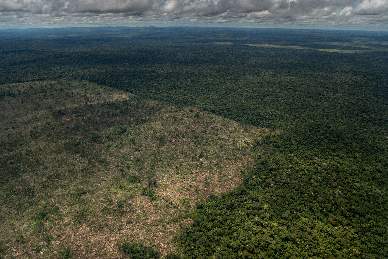 Deforestation in an undesignated public land in the municipality of Lábrea, in the Brazilian Amazon. 