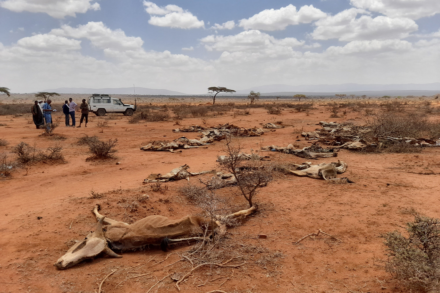 Prolonged drought in the Horn of Africa in 2020 impacted the lives of 50 million people. 
