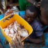 Fishing in Sierra Leone