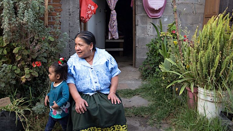 “Naná" Gracia is an Indigenous P'urhépecha midwife, seen here in her ekuarho with granddaughter Alma in Angahuan, Michoachán, Mexico. Image by Monica Pelliccia for Mongabay.