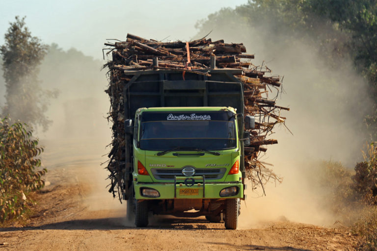 A truck carrying acacia logs in Indonesia