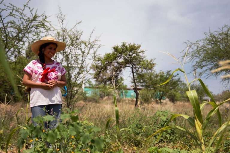 Josefina Santiago in her agroecological farm where she crops maize, beans, and pumpkins close to the water pans. El Porvenir, San José del Progreso, Oaxaca, Mexico, May 2022, Monica Pelliccia