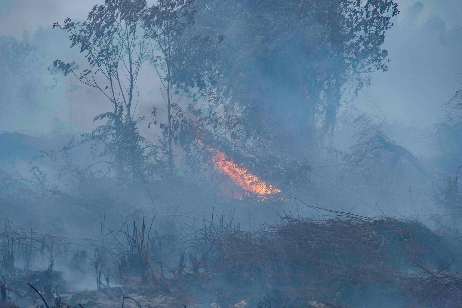 A wildfire burns in Singai Besar village in West Kalimantan. 