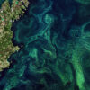 A phytoplankton bloom in the Baltic Sea captured by Copernicus Sentinel-2 mission.