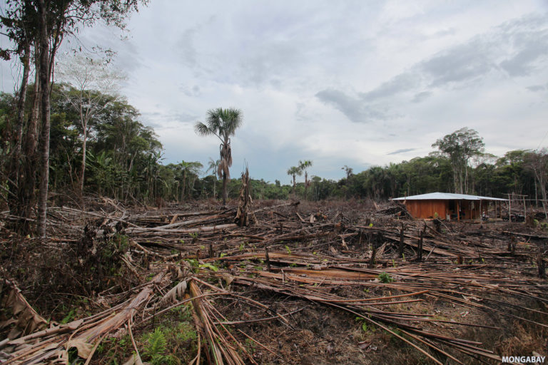 Deforestation in the Colombian Amazon. Photo by Rhett A. Butler for Mongabay.