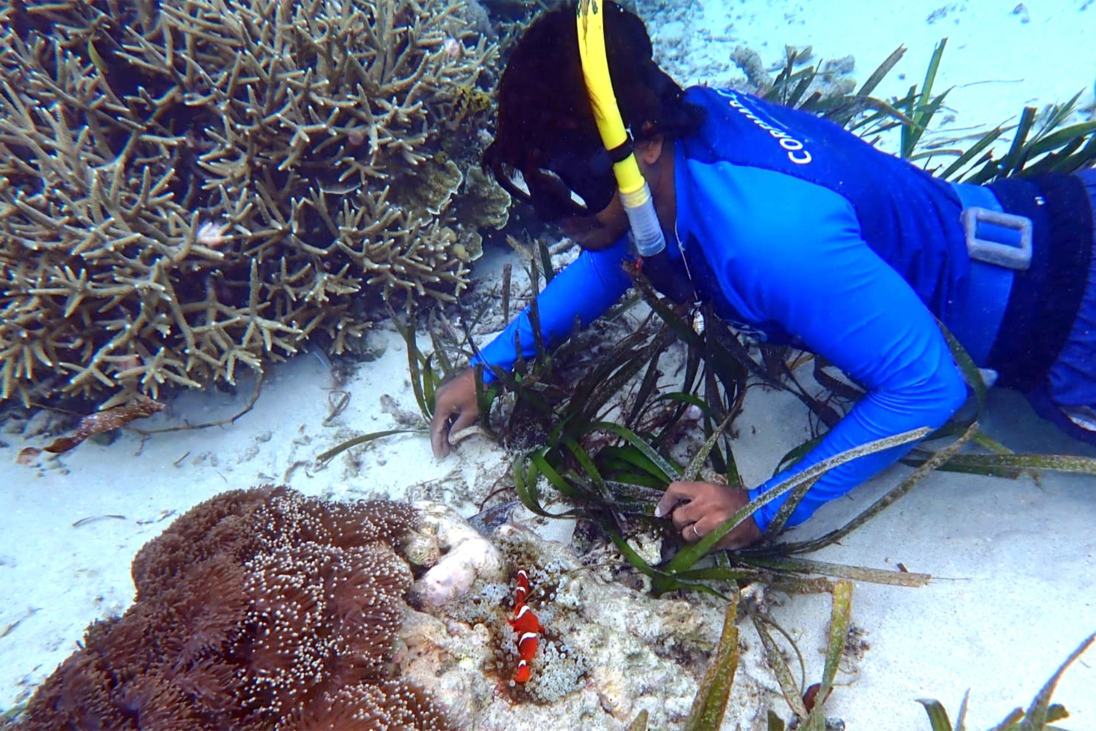 Amiruddin checks underwater conditions in the Gili Batu conservation area, West Sumbawa. 