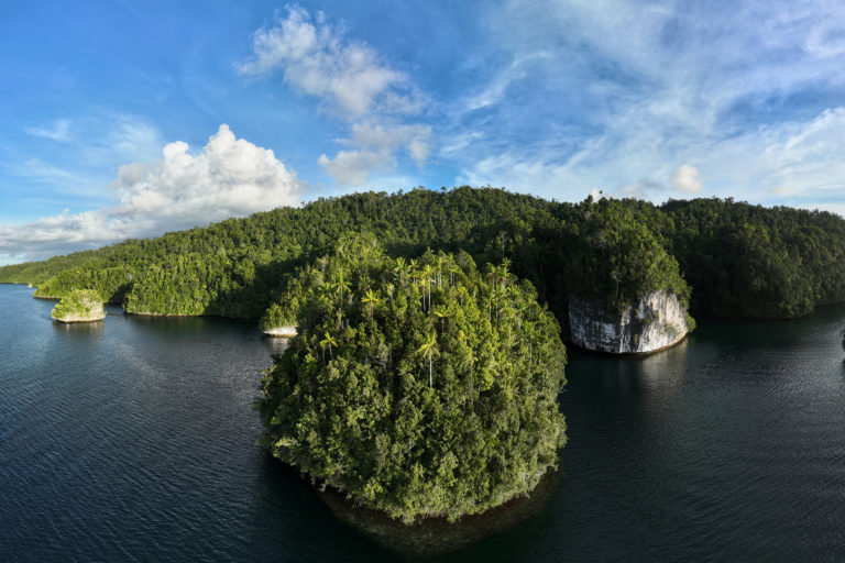 A biodiverse island in Indonesia. Photo by Rhett A. Butler for Mongabay.
