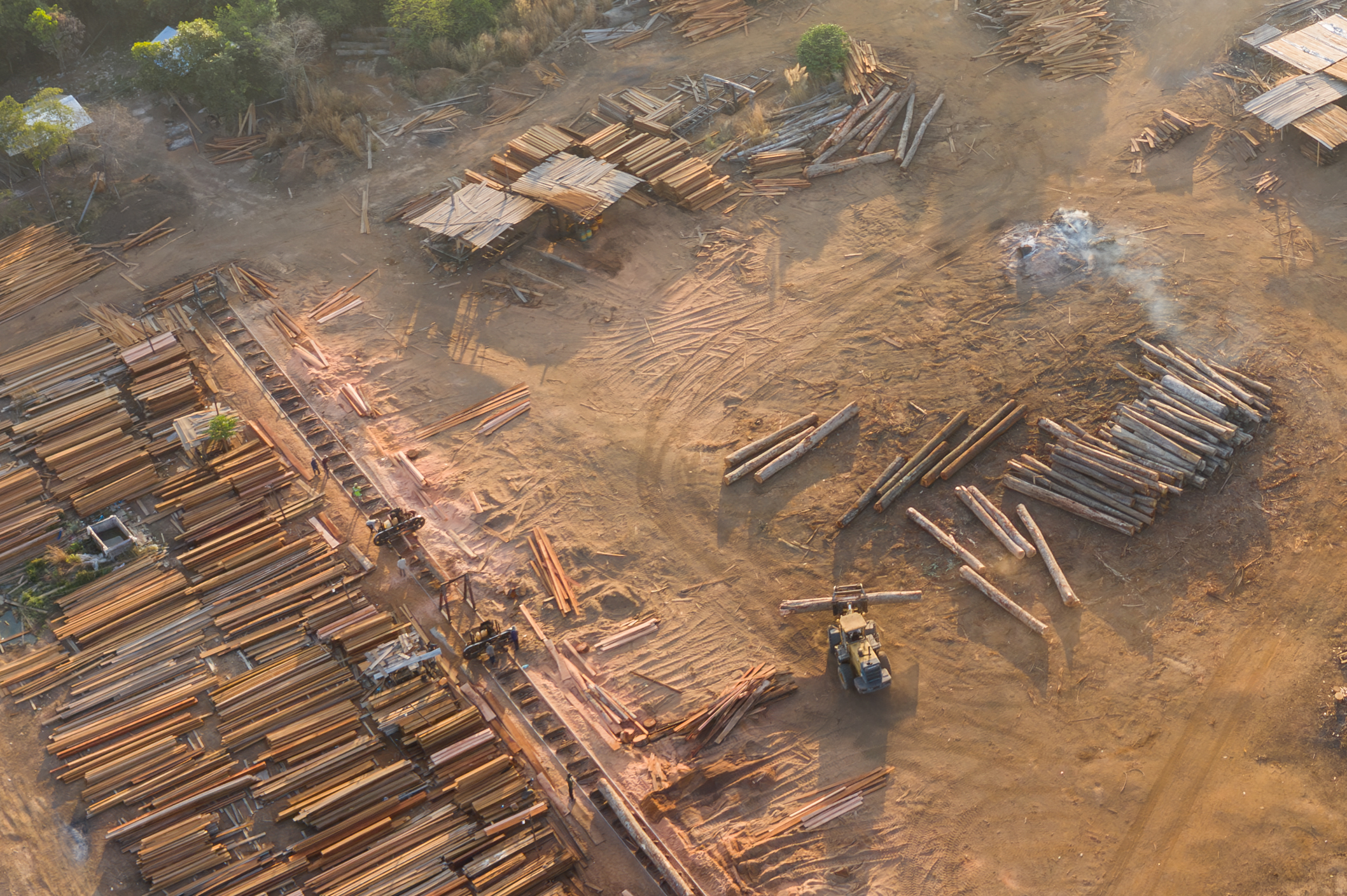 A sawmill seen operating within the Sal Sophea Peanich ELC in Stung Treng province. Workers were seen felling the remaining natural forest that occupied the ELC land in February 2023. Image by Andy Ball / Mongabay.