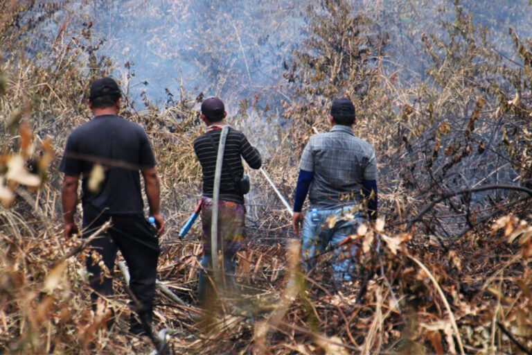 Efforts to extinguish the fire around Sungai Buluh Kecil, in the Tanjung Puting National Park area, mid-September 2023.