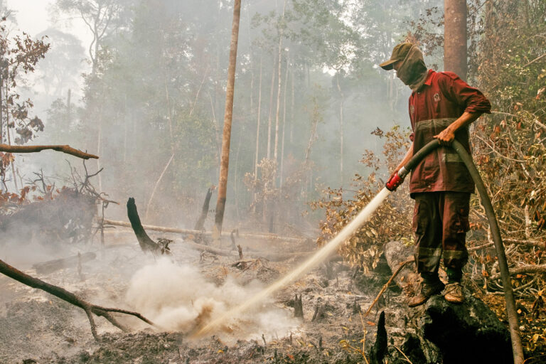 A firefighter puts out fires in a peatland in Indonesia.