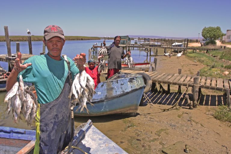 Fishers standing amongst beached boats, holding up bunches of fish at Velddrif with 'bokkom' — dried harders. Image by South Africa Tourism via Flickr (CC BY 2.0)