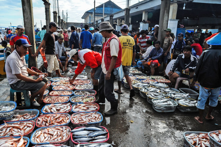 A fish market in South Sulawesi, Indonesia.