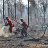 Fire fighters putting out forest fire in Riau, Indonesia.