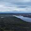 amazon landscape