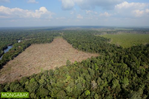 Illegal forest clearingfor oil palm in Riau Province. Photo by Rhett A Butler