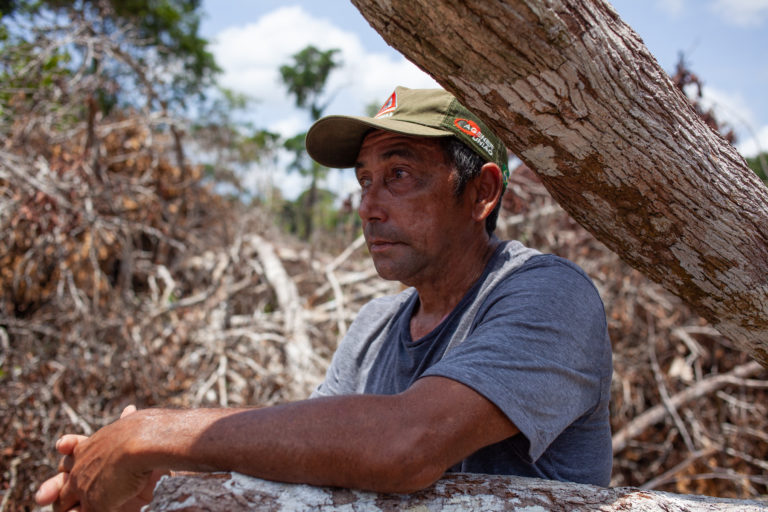 Souza Dias Alvez, of the Mura Indigenous people, looks over the destruction left behind by invaders who cleared a swath of rainforest in the São Pedro Indigenous Reserve in Autazes, Amazonas. The region is seeing a surge in deforestation that is now encroaching on Indigenous lands, as buffalo ranchers turn more land into pasture. Mongabay by Ana Ionova.