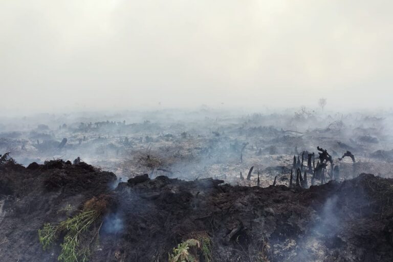 Forest and peatland fires in Sungai Panggang village, directly adjacent to Tanjung Puting National Park on October 5, 2023.