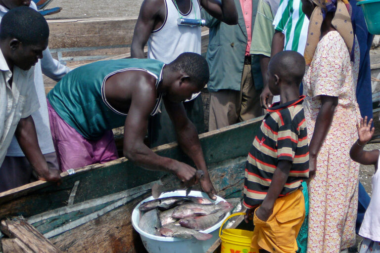 People select fish on Rusinga Island, Lake Victoria, Kenya.