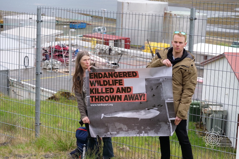 Protests against whaling in Iceland, 2018. Image courtesy of Hard to Port.