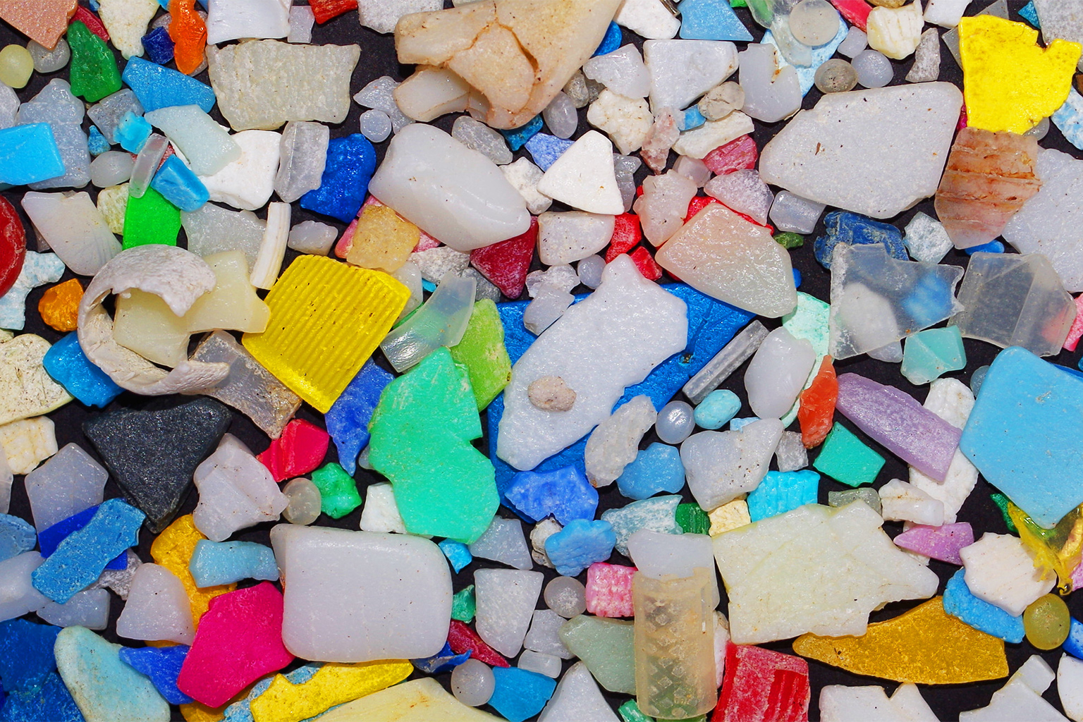 Plastics of all shapes, sizes, colors and composition enter the ocean every day, with largely unknown impacts. 