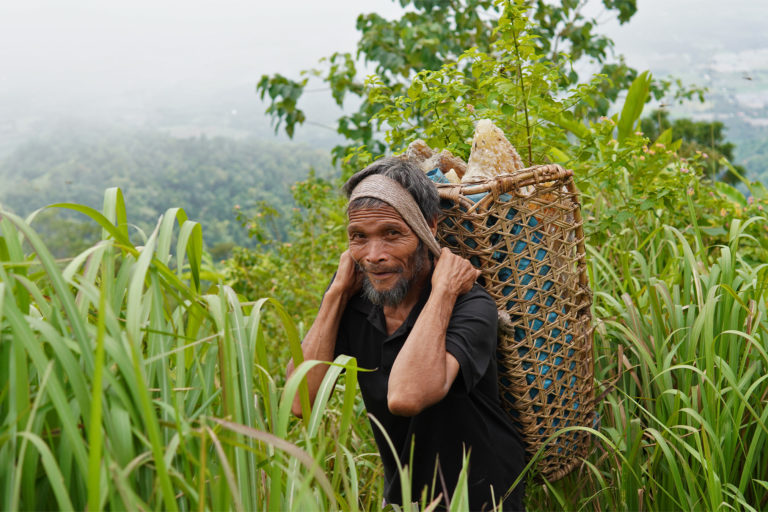 Sitio Paho, Pala’wan Indigenous leader Mami Lapasan, carrying a heavy load of almaciga resin.