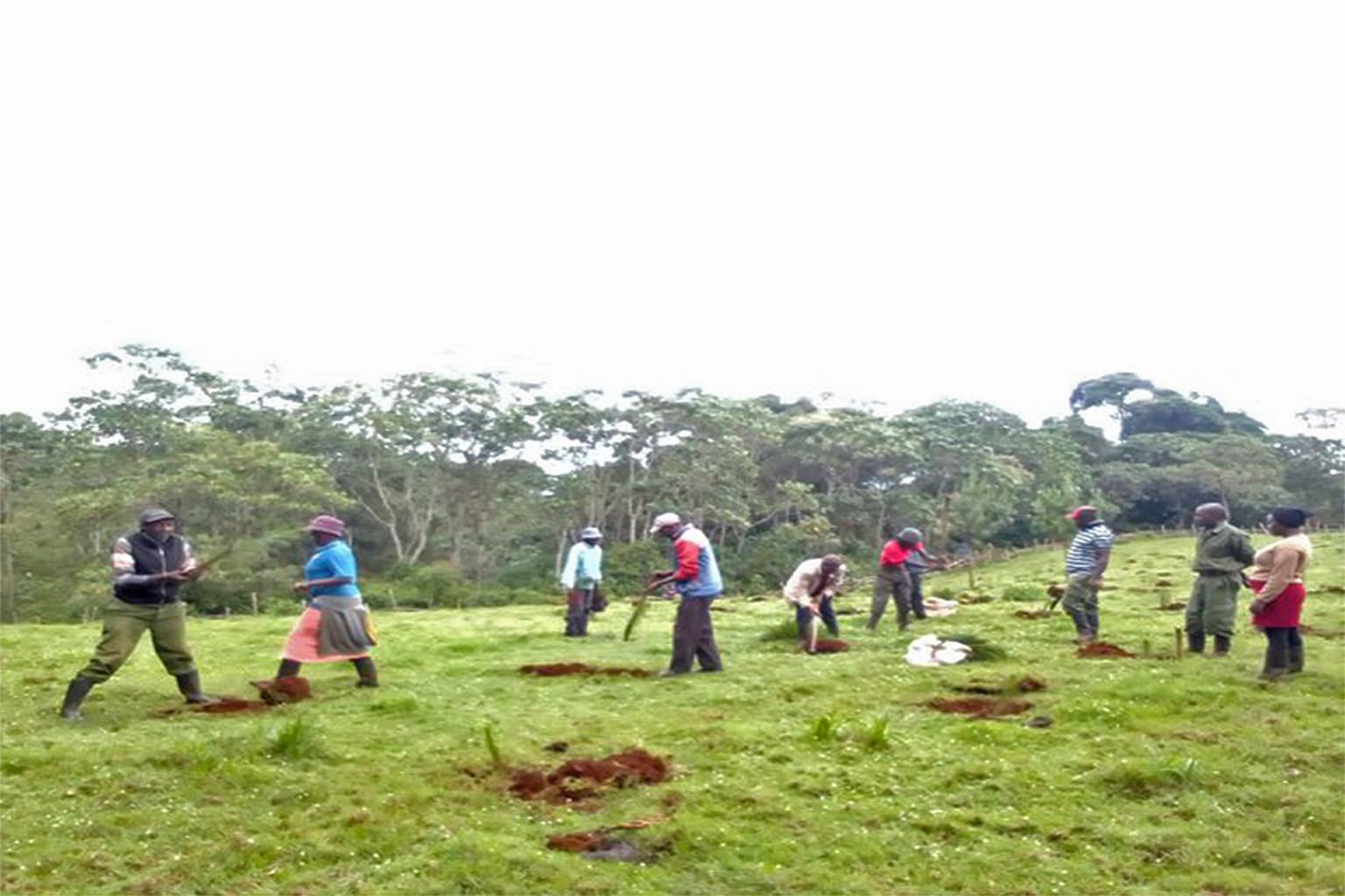 Community members planting trees.