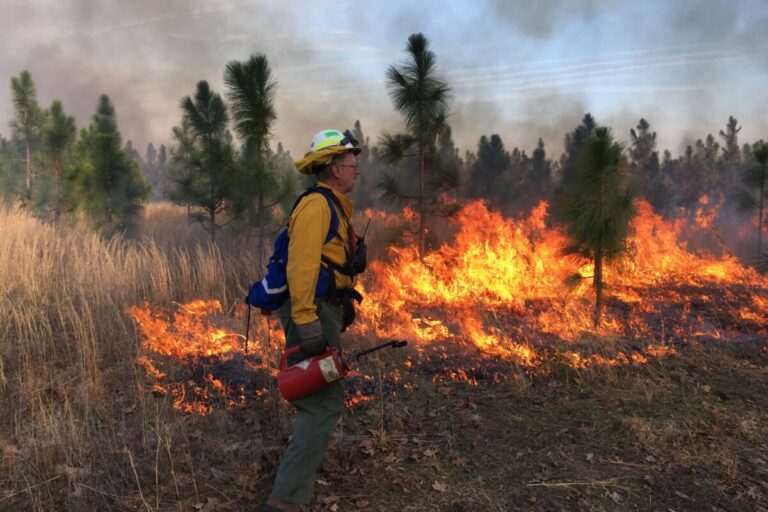 Prescribed burns conducted by government organizations don’t face the same high cost of fire insurance as private organizations do. Image courtesy of the Virginia Department of Forestry.