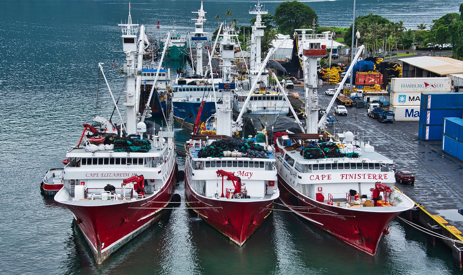 Three purse seiners docked at a shore.