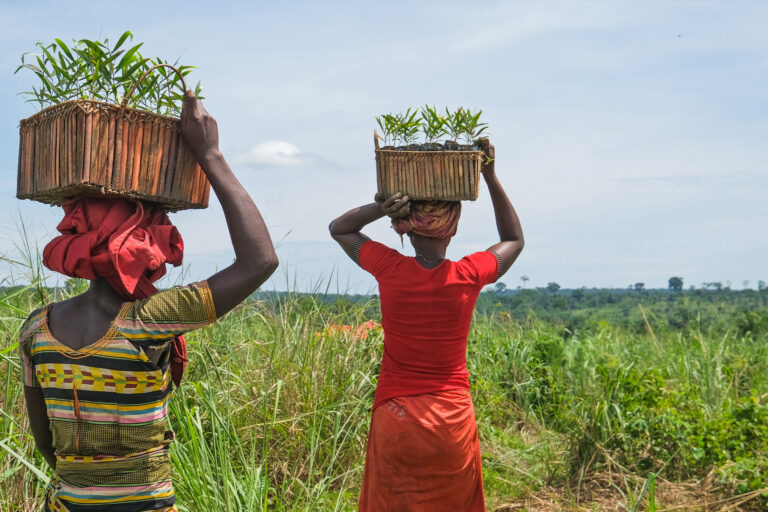 Women carrying saplings.
