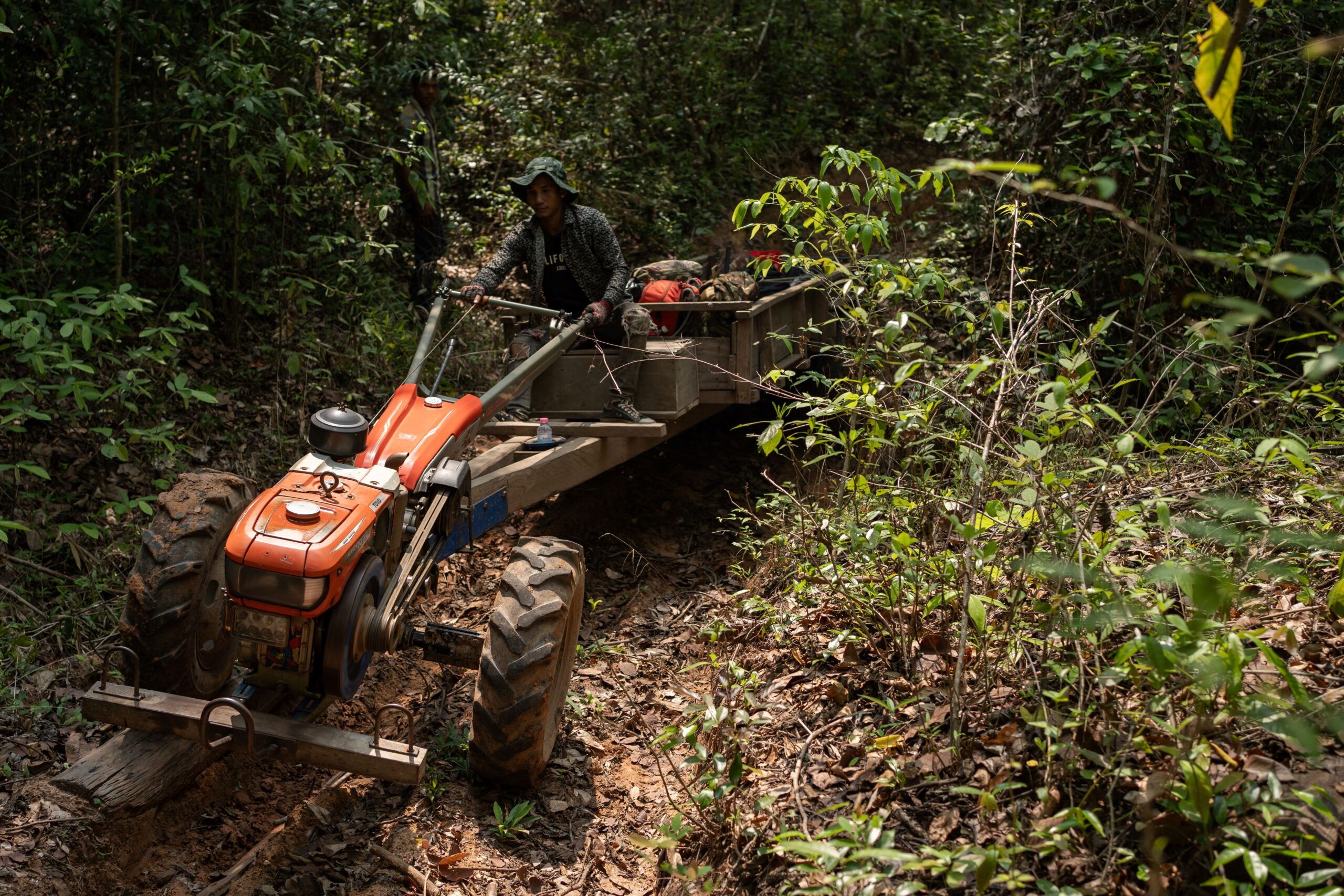 A member of the Prey Preah Roka Community Network leads the patrol convoy, carrying supplies on a koy-yun through Preah Vihear province, where ELCs have decimated the forest. Image by Andy Ball / Mongabay.