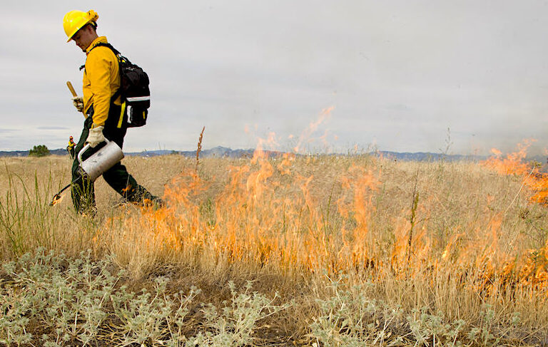 Setting a prescribed fire around vernal pools at Agate Desert Preserve. Image courtesy of Evan Barrientos/TNC.