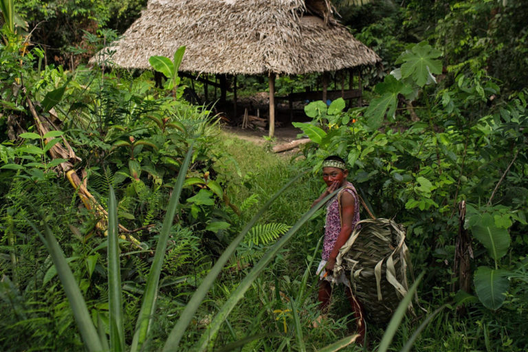 Kanamari Indigenous people carry out their work