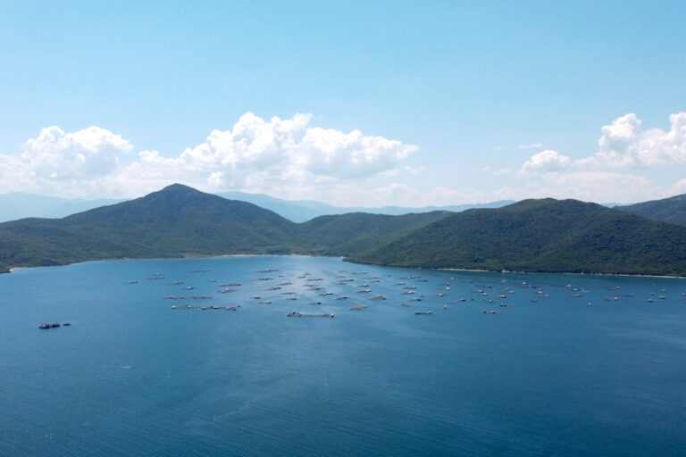 A view of Van Phong Bay, with traditional aquaculture pens in the distance. Image by Michael Tatarski for Mongabay.